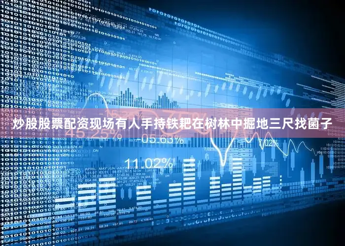 炒股股票配资现场有人手持铁耙在树林中掘地三尺找菌子