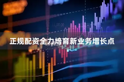 正规配资全力培育新业务增长点