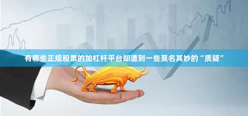 有哪些正规股票的加杠杆平台却遭到一些莫名其妙的“质疑”