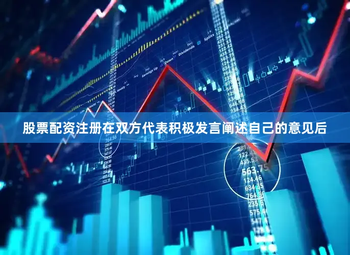 股票配资注册在双方代表积极发言阐述自己的意见后